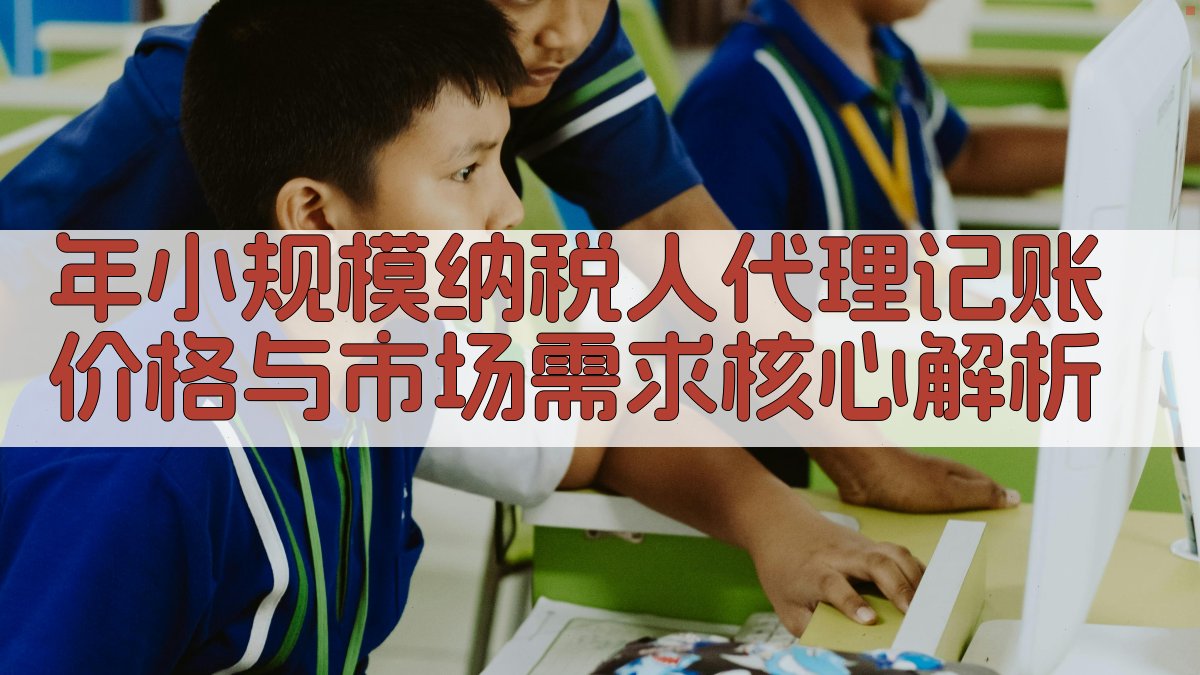 年小规模纳税人代理记账价格与市场需求核心解析 图1