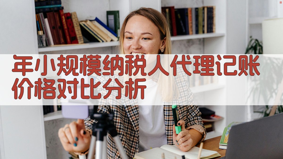 年小规模纳税人代理记账价格对比分析 图4