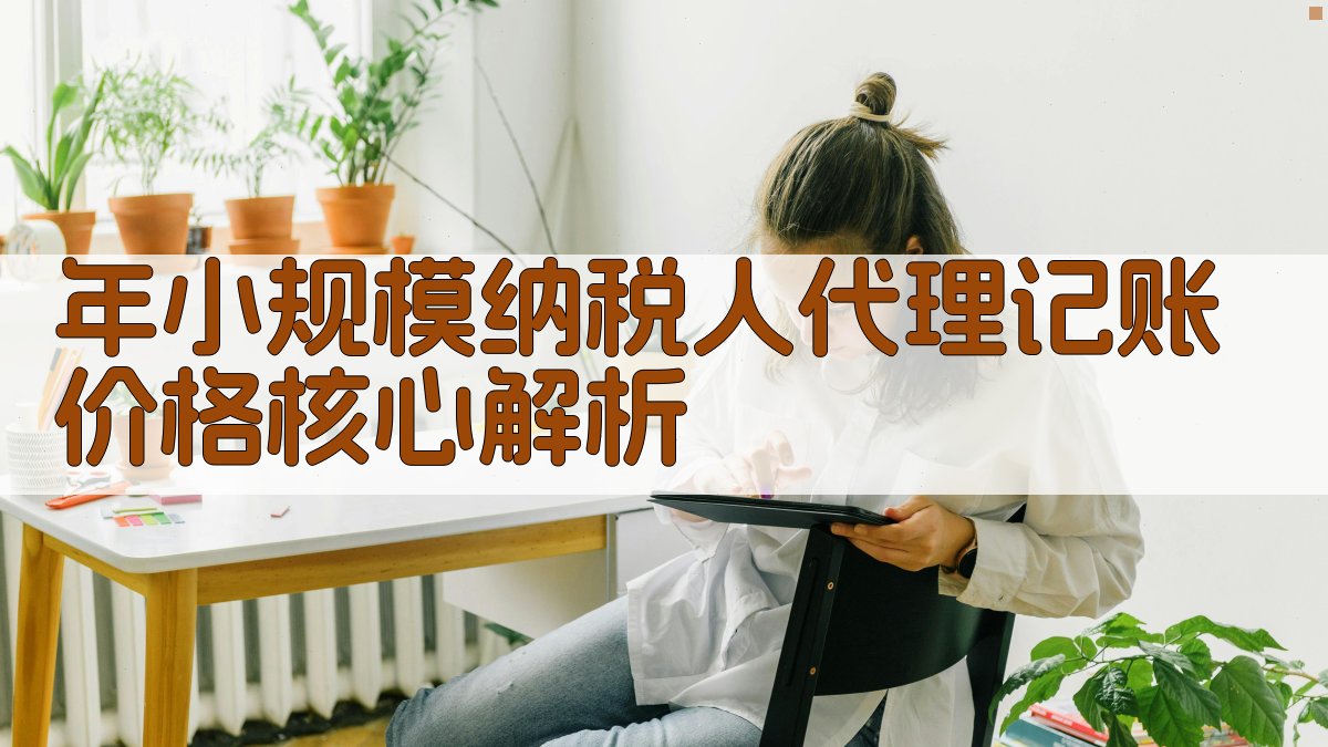 年小规模纳税人代理记账价格核心解析 图2