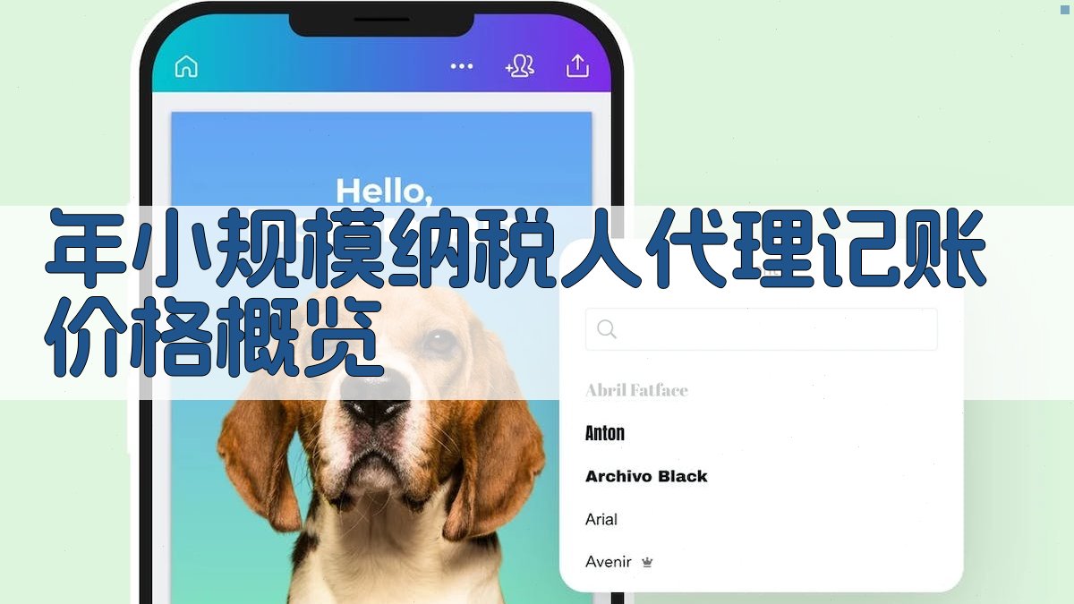 年小规模纳税人代理记账价格概览 图1