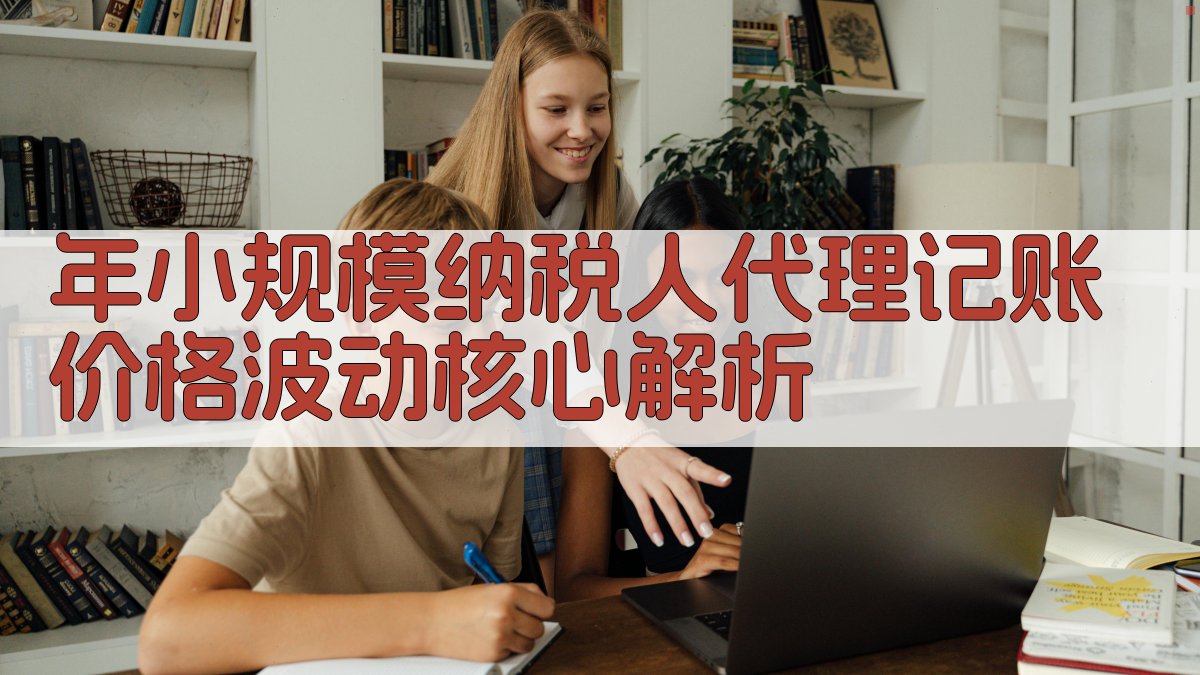 年小规模纳税人代理记账价格波动核心解析 图1