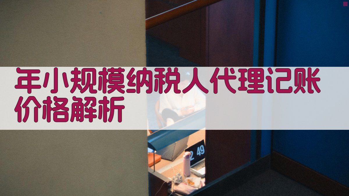 年小规模纳税人代理记账价格解析 图1