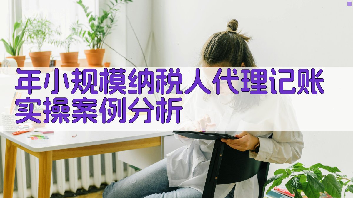 年小规模纳税人代理记账实操案例分析 图3