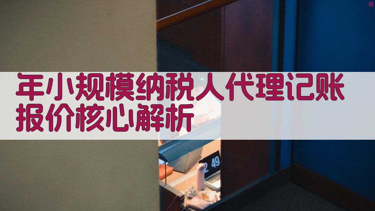 年小规模纳税人代理记账报价核心解析 图2