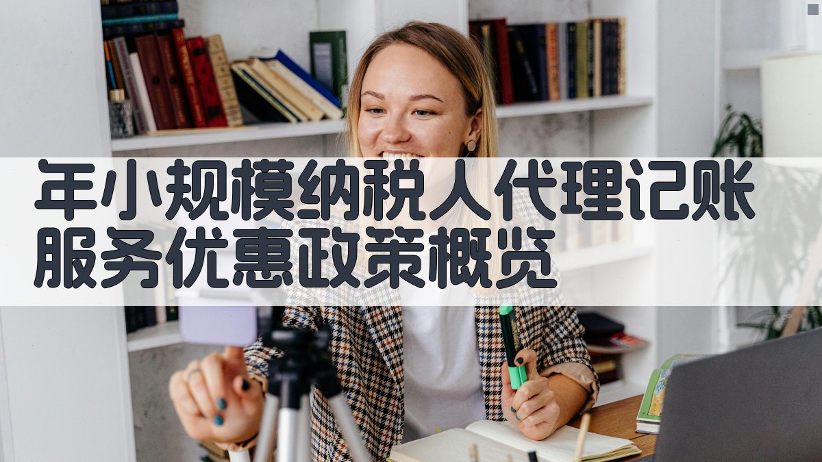 年小规模纳税人代理记账服务优惠政策概览 图1
