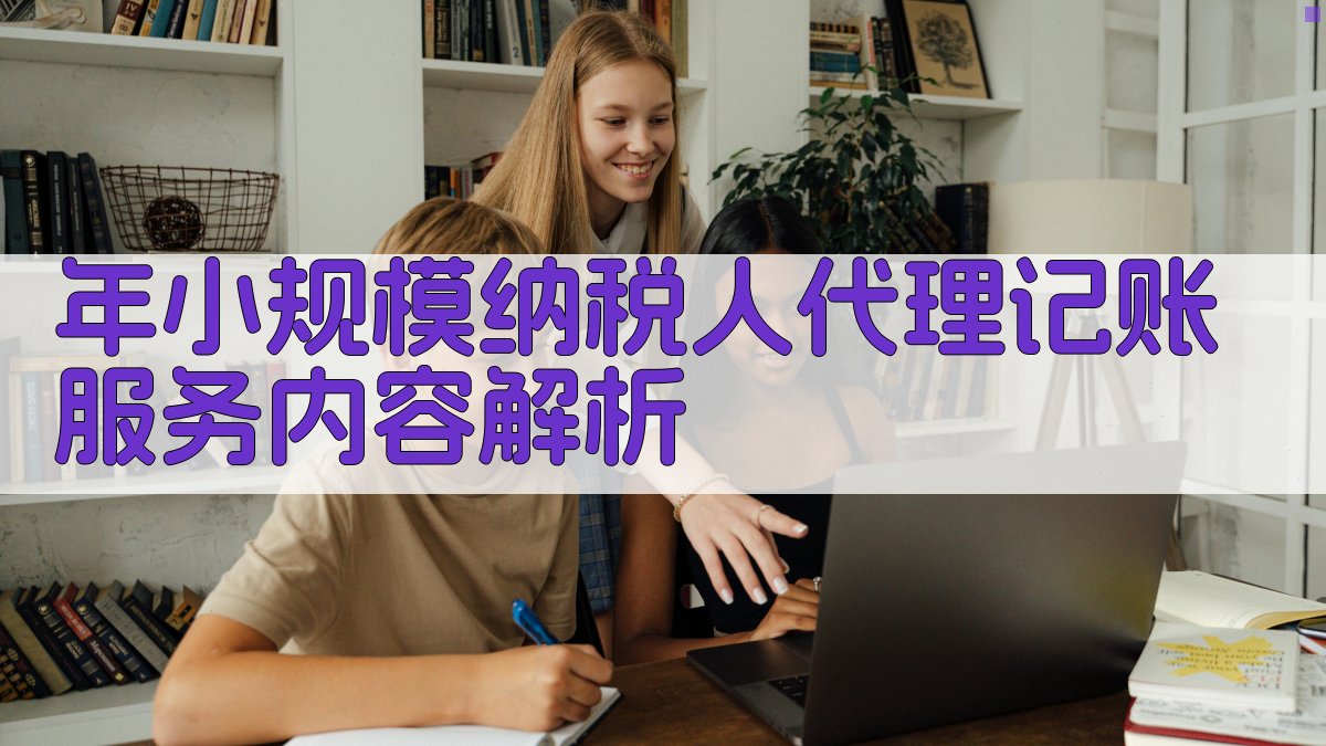 年小规模纳税人代理记账服务内容解析 图2