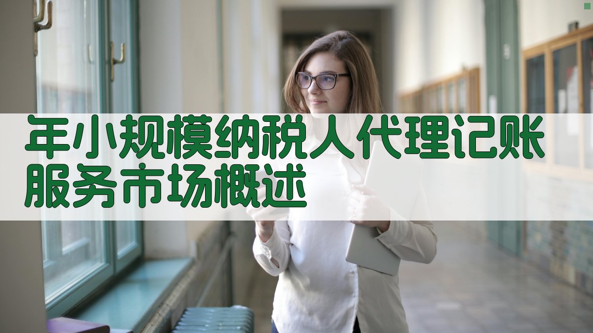 年小规模纳税人代理记账服务市场概述 图1