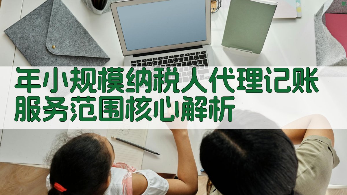 年小规模纳税人代理记账服务范围核心解析 图2