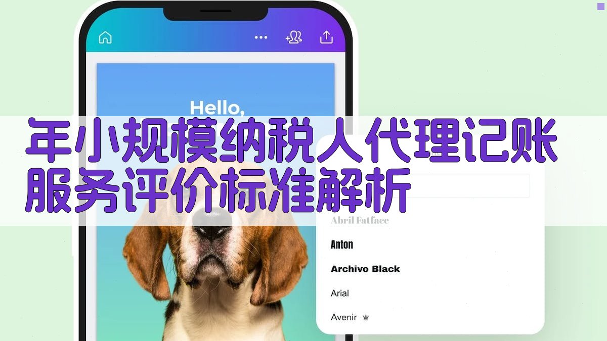 年小规模纳税人代理记账服务评价标准解析 图2