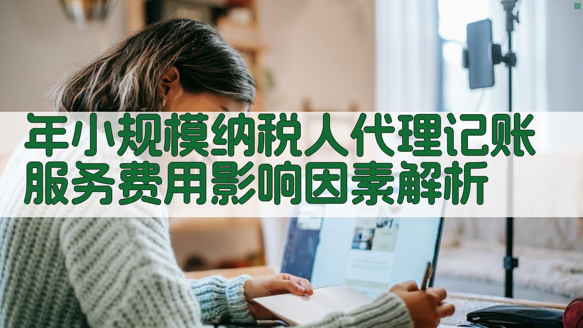年小规模纳税人代理记账服务费用影响因素解析 图2