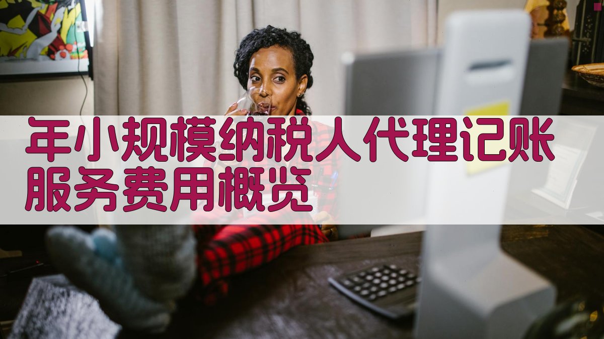 年小规模纳税人代理记账服务费用概览 图1