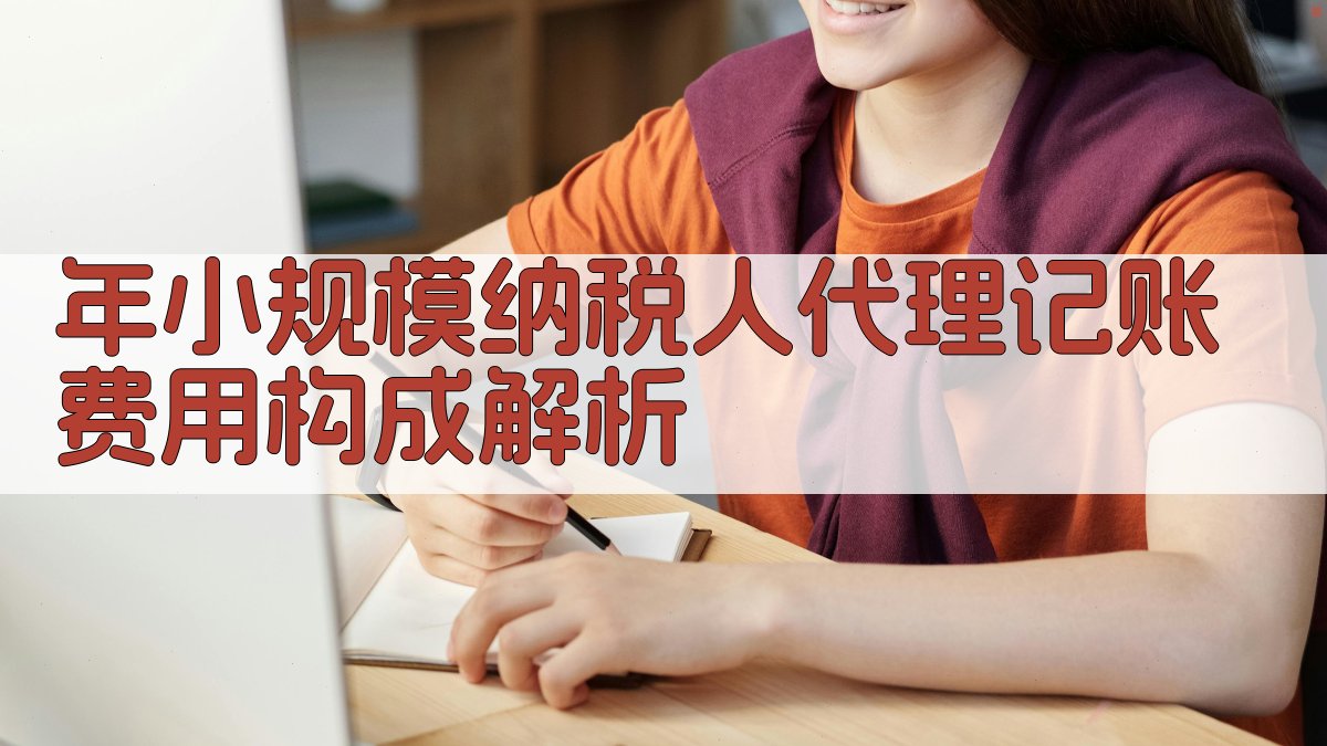 年小规模纳税人代理记账费用构成解析 图1