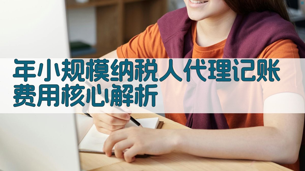 年小规模纳税人代理记账费用核心解析 图2
