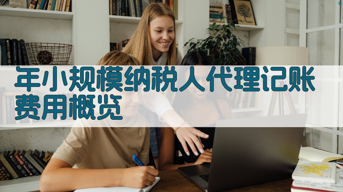 年小规模纳税人代理记账费用概览 图1