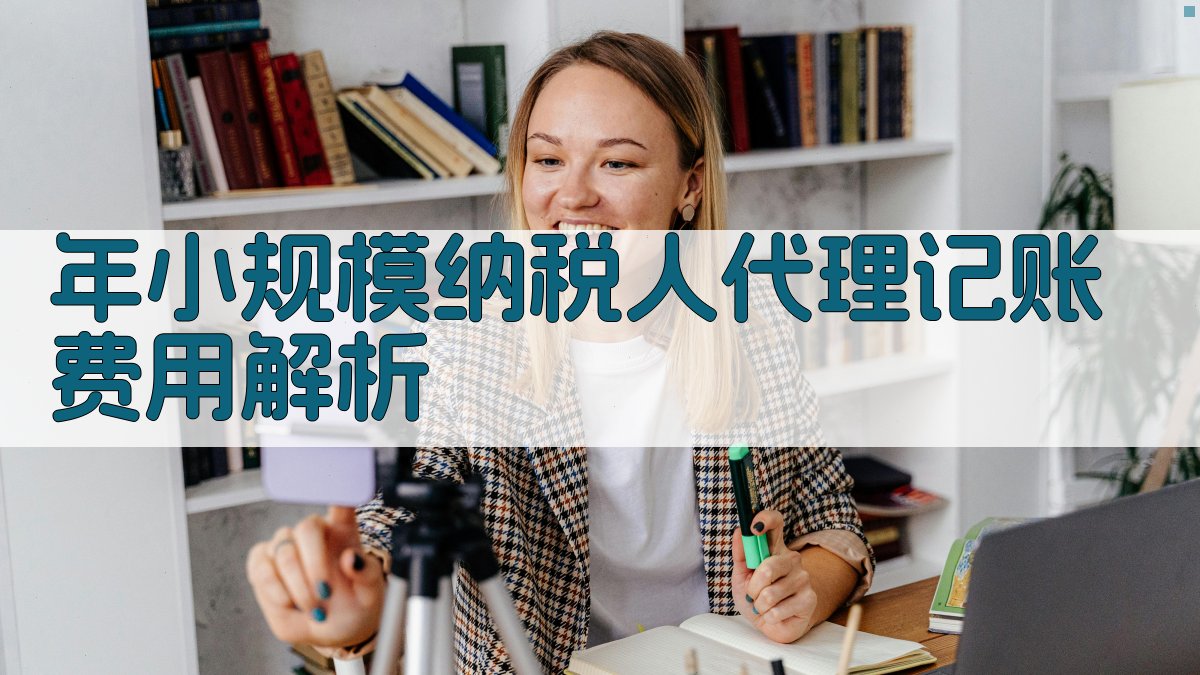 年小规模纳税人代理记账费用解析 图2