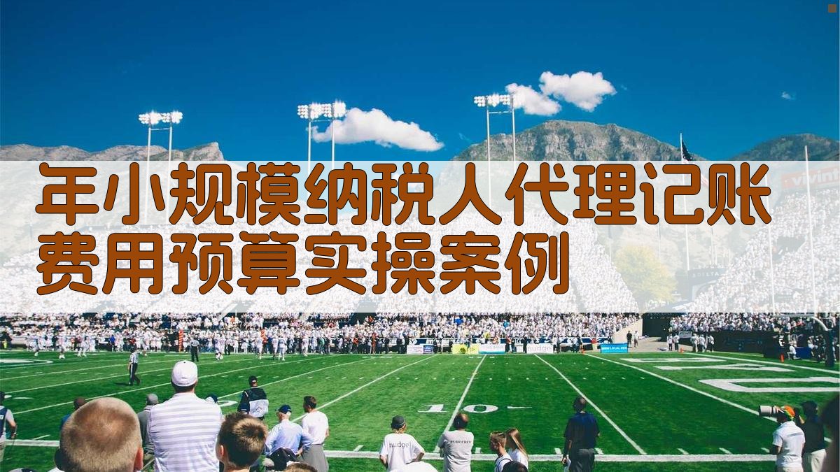 年小规模纳税人代理记账费用预算实操案例 图5