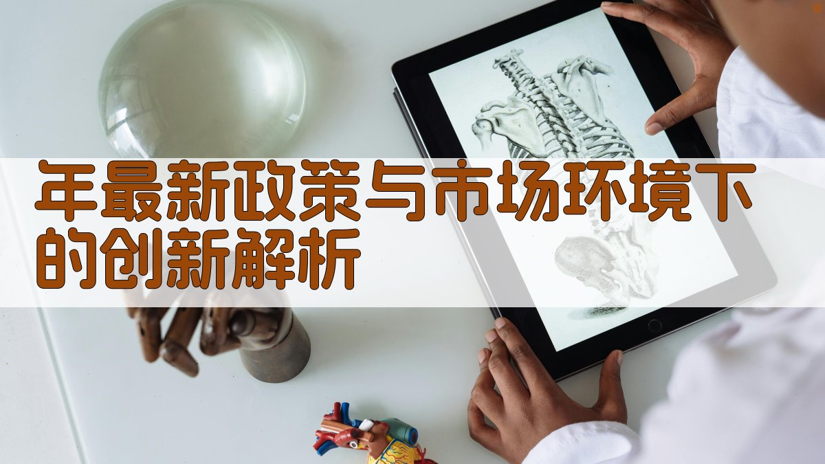 年最新政策与市场环境下的创新解析 图2