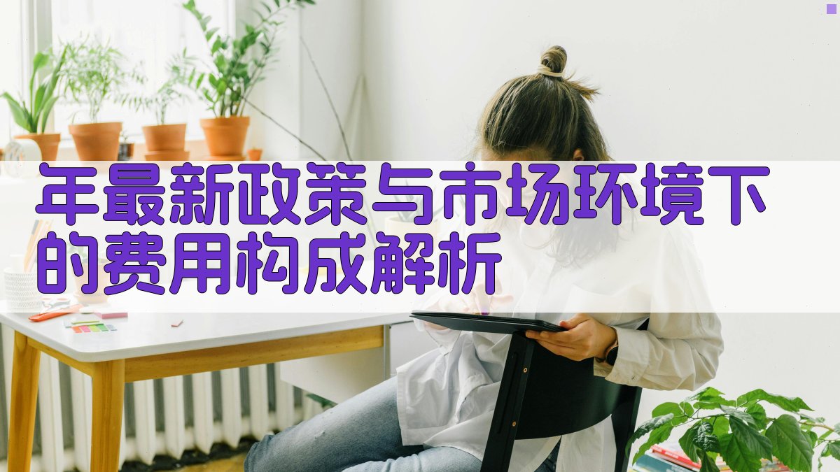 年最新政策与市场环境下的费用构成解析 图1