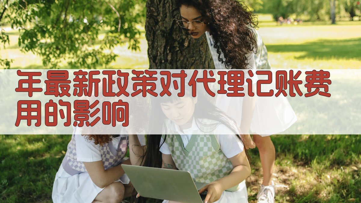 年最新政策对代理记账费用的影响 图4