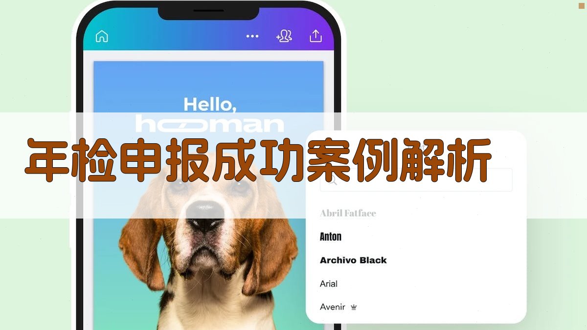 年检申报成功案例解析 图1
