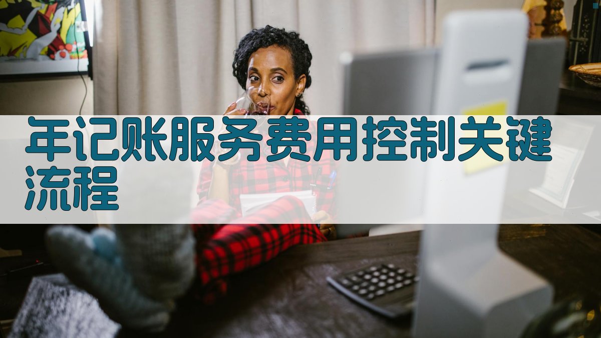 年记账服务费用控制关键流程 图1