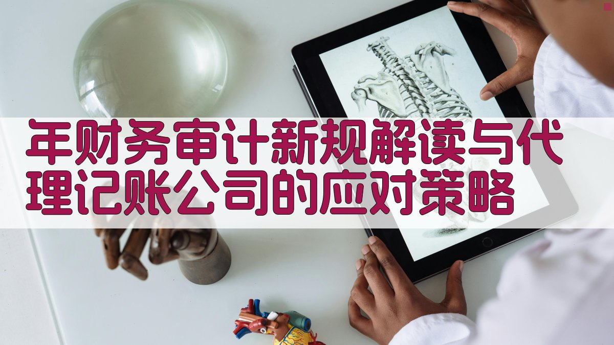 年财务审计新规解读与代理记账公司的应对策略 图3