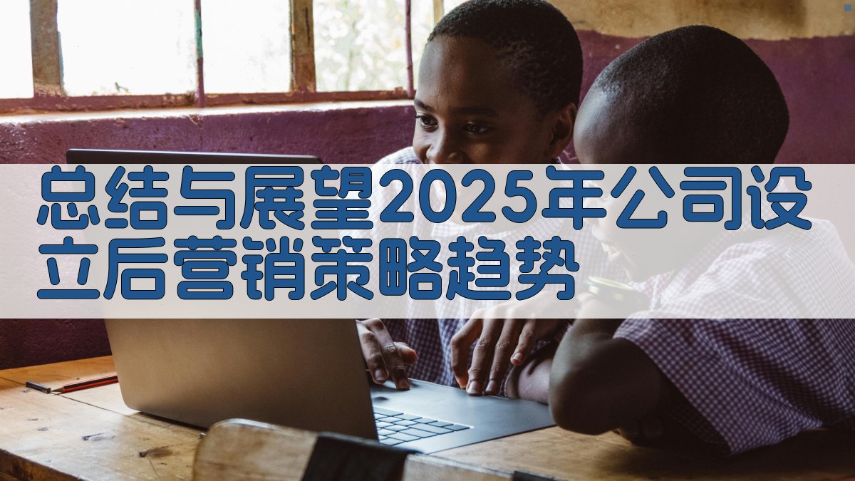 (总结与展望：2025年公司设立后营销策略趋势) 图1