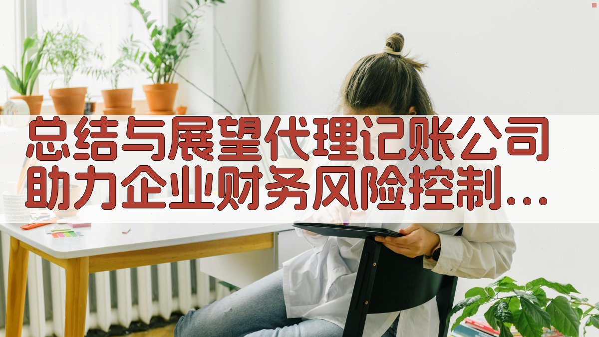 总结与展望：代理记账公司助力企业财务风险控制的新趋势 图5