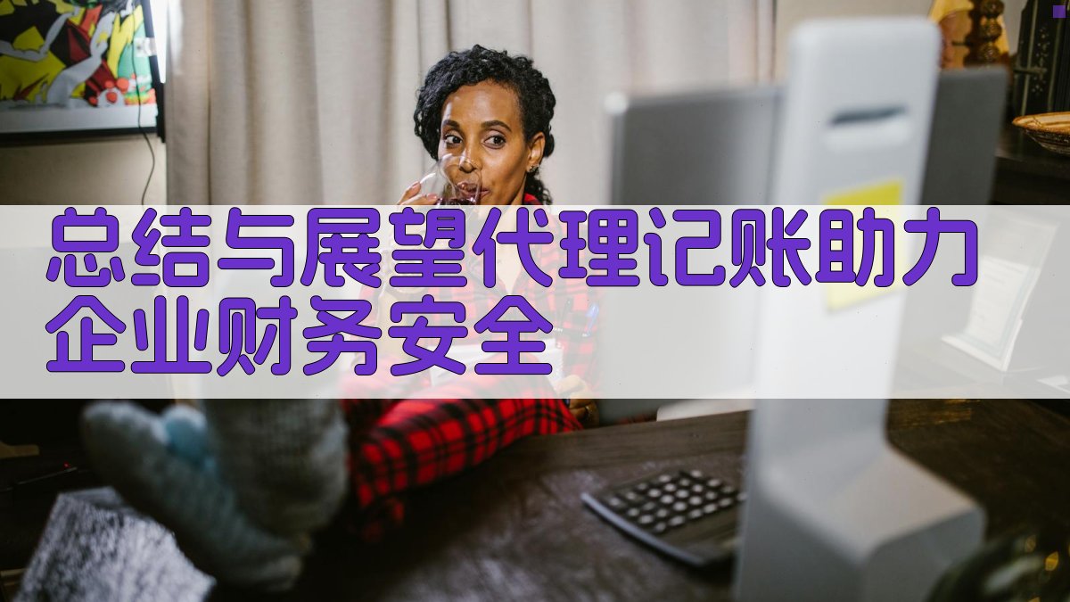 总结与展望：代理记账助力企业财务安全 图3