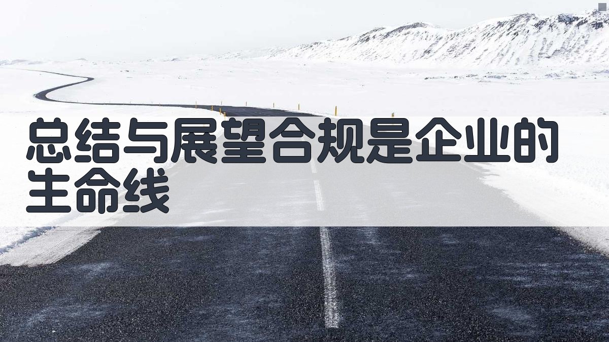 总结与展望：合规是企业的生命线 图3