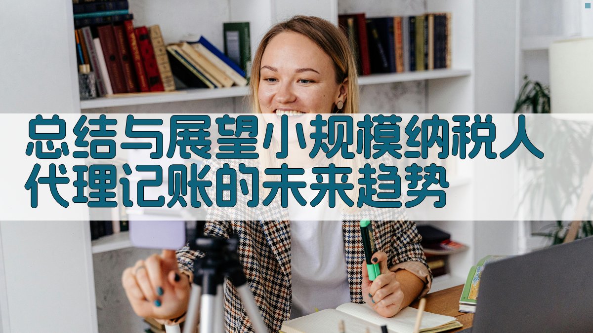 总结与展望：小规模纳税人代理记账的未来趋势 图4