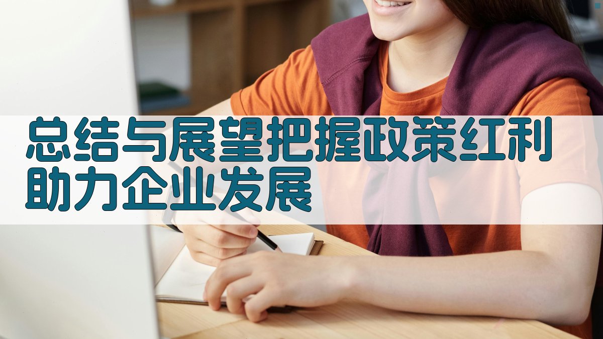 总结与展望：把握政策红利，助力企业发展 图4