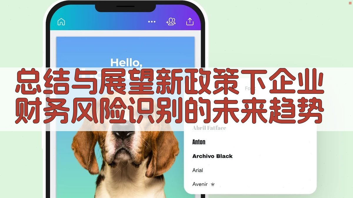 总结与展望：新政策下企业财务风险识别的未来趋势 图4
