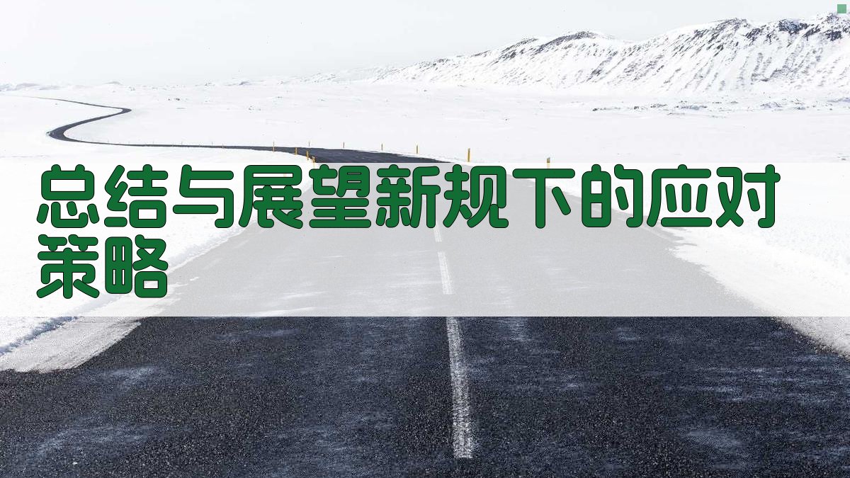总结与展望：新规下的应对策略 图5
