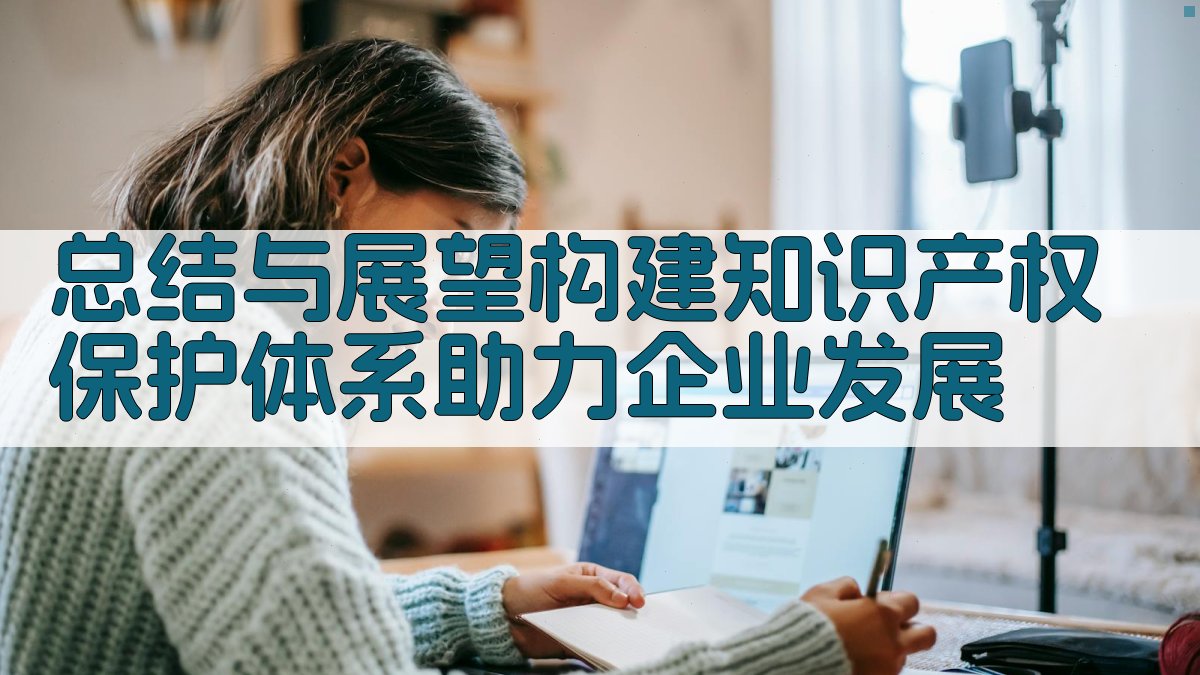 总结与展望：构建知识产权保护体系，助力企业发展 图1