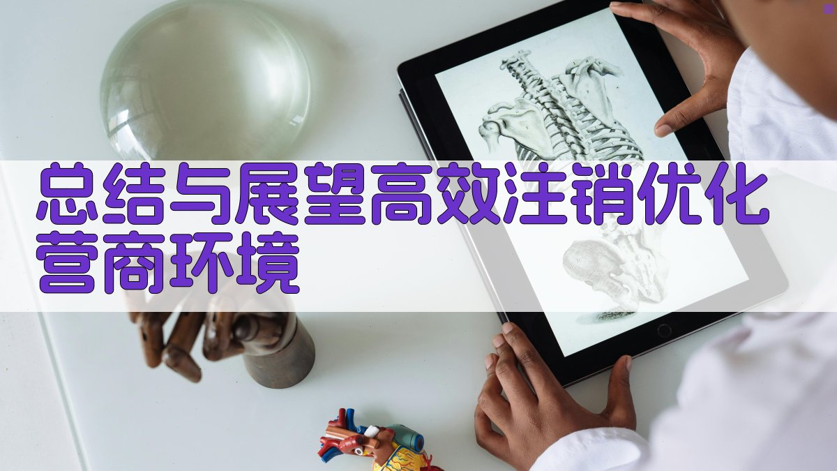 总结与展望：高效注销，优化营商环境 图3