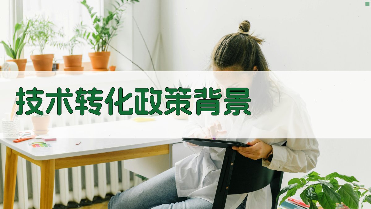 技术转化政策背景 图1