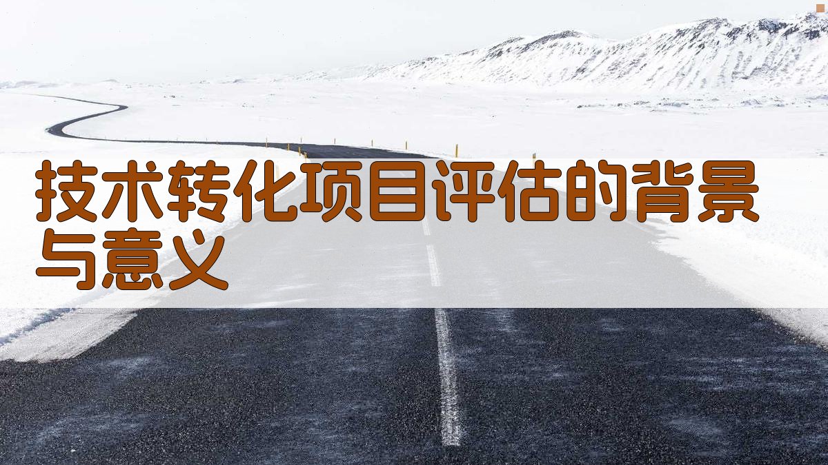 技术转化项目评估的背景与意义 图1