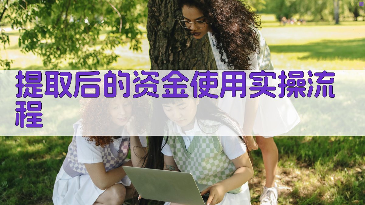 提取后的资金使用实操流程 图1