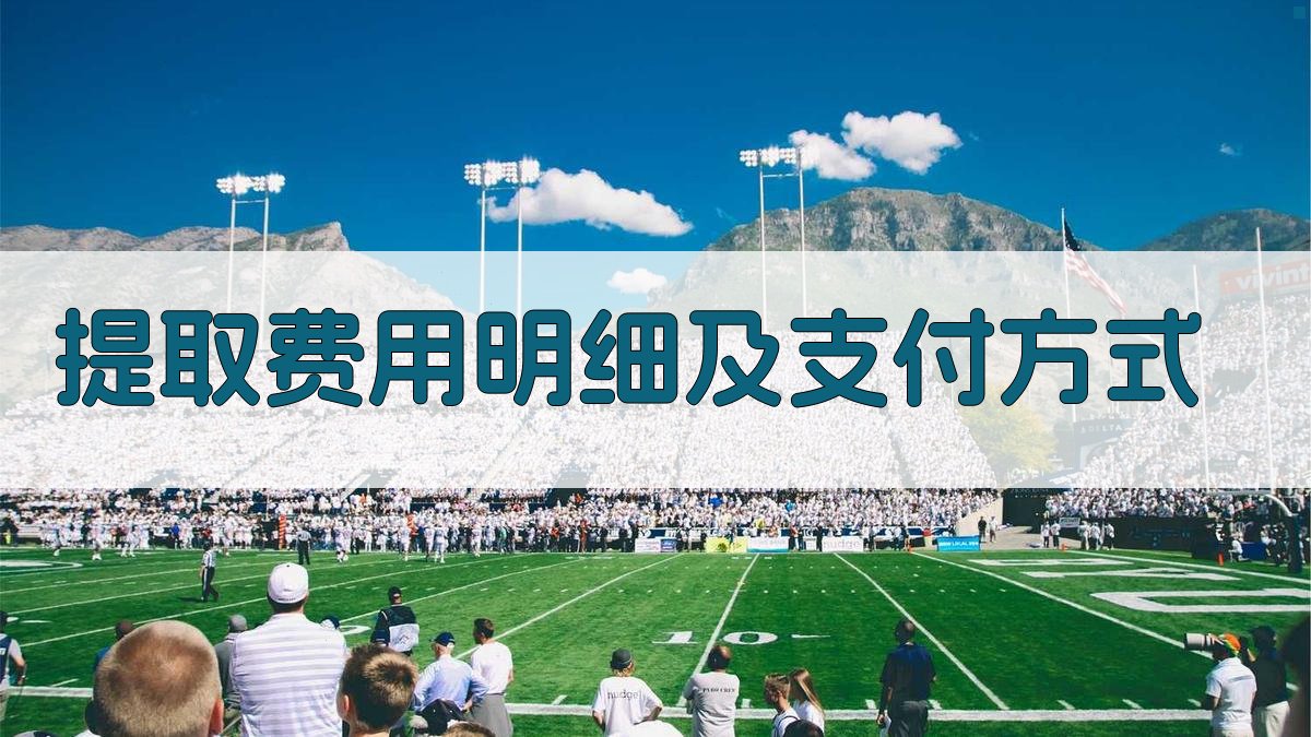 提取费用明细及支付方式 图1