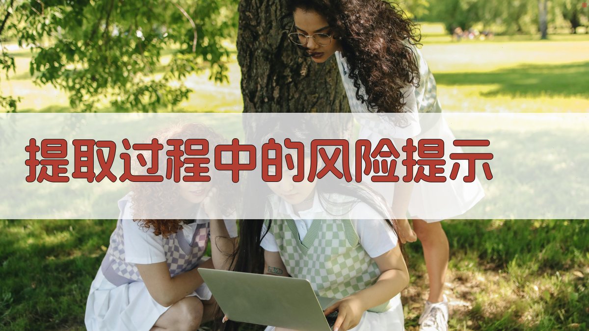 提取过程中的风险提示 图2