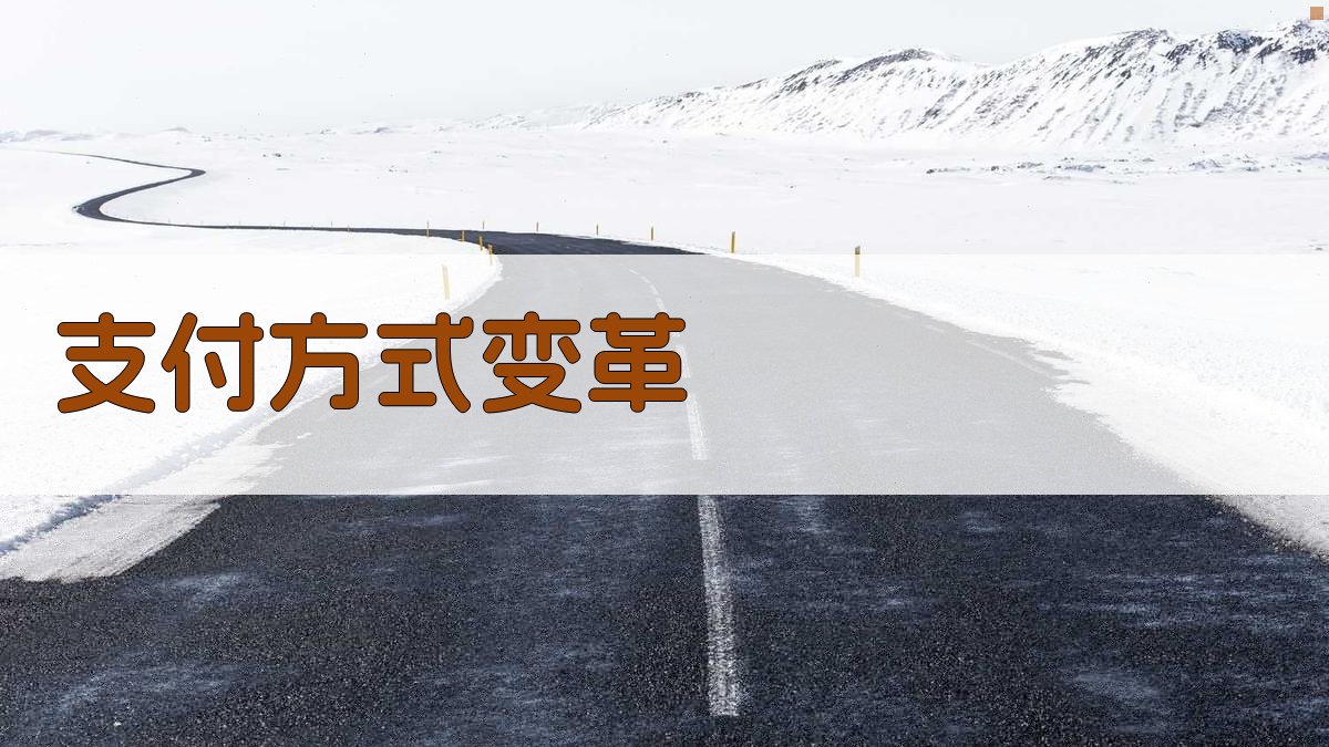 支付方式变革 图1