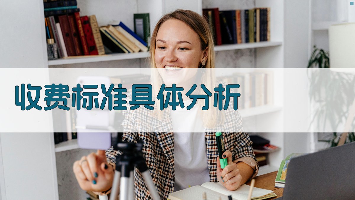 收费标准具体分析 图3