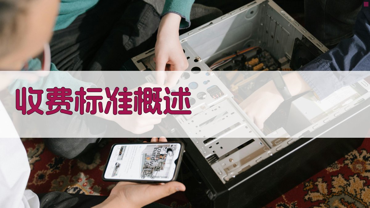 收费标准概述 图1