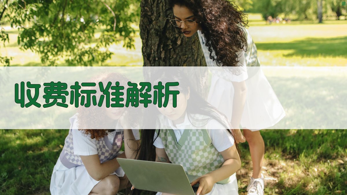 收费标准解析 图2