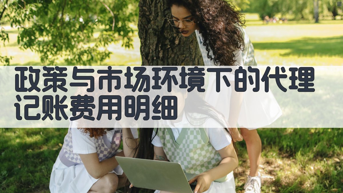 政策与市场环境下的代理记账费用明细 图1