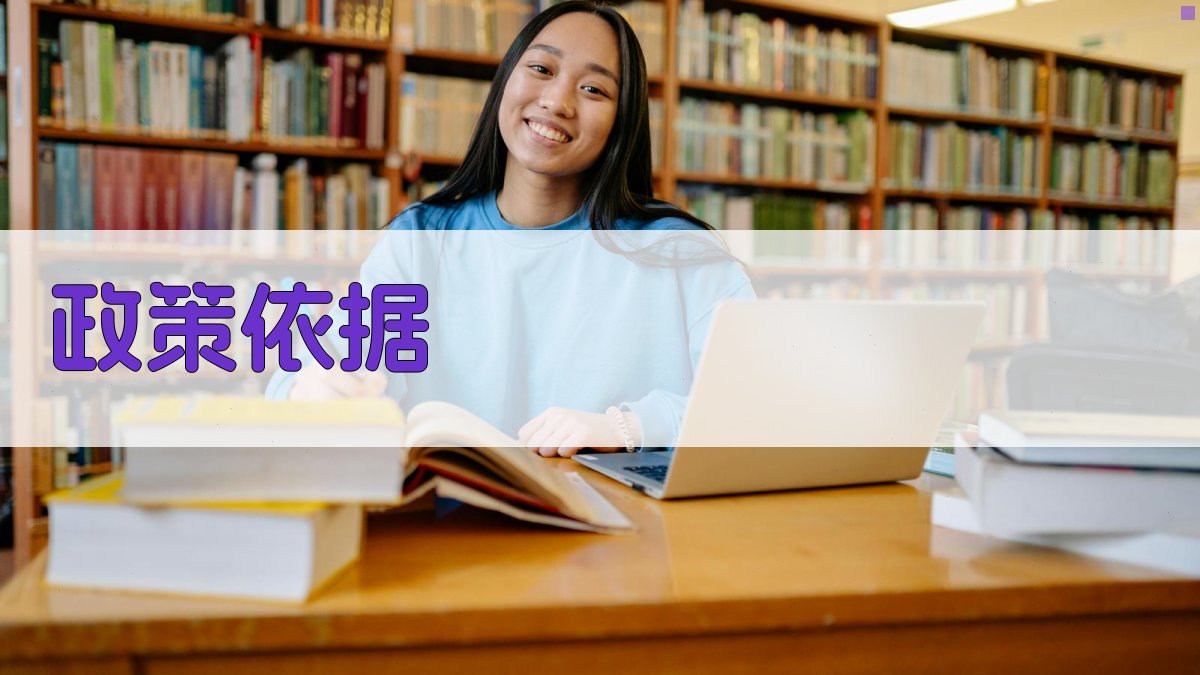 政策依据 图1