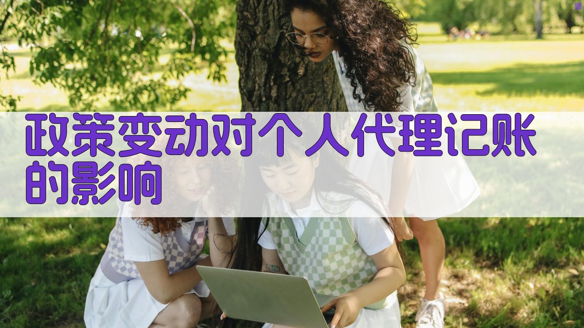 政策变动对个人代理记账的影响 图2