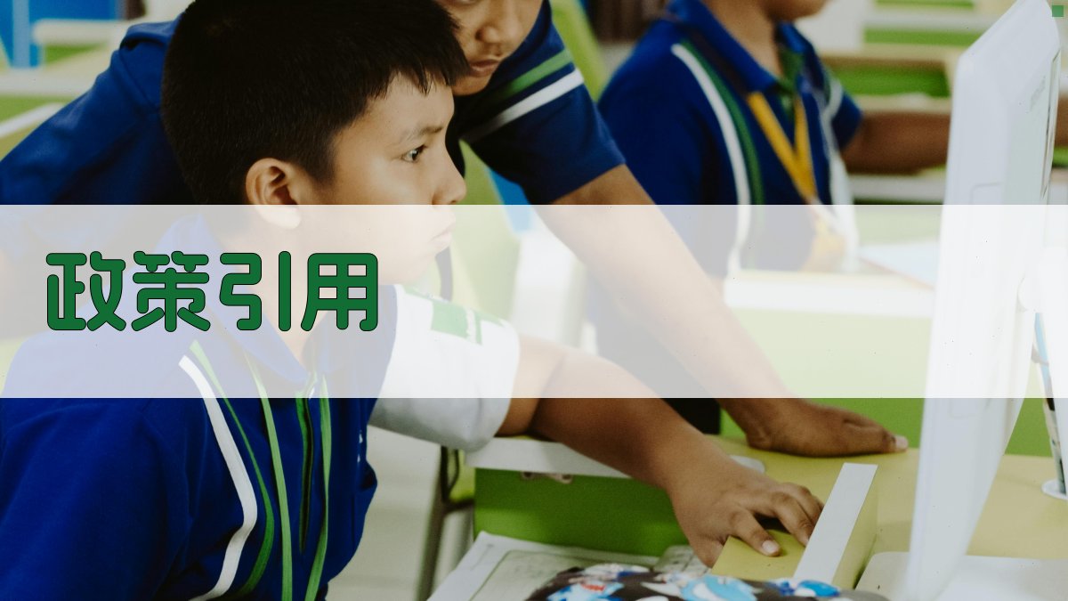 政策引用 图2