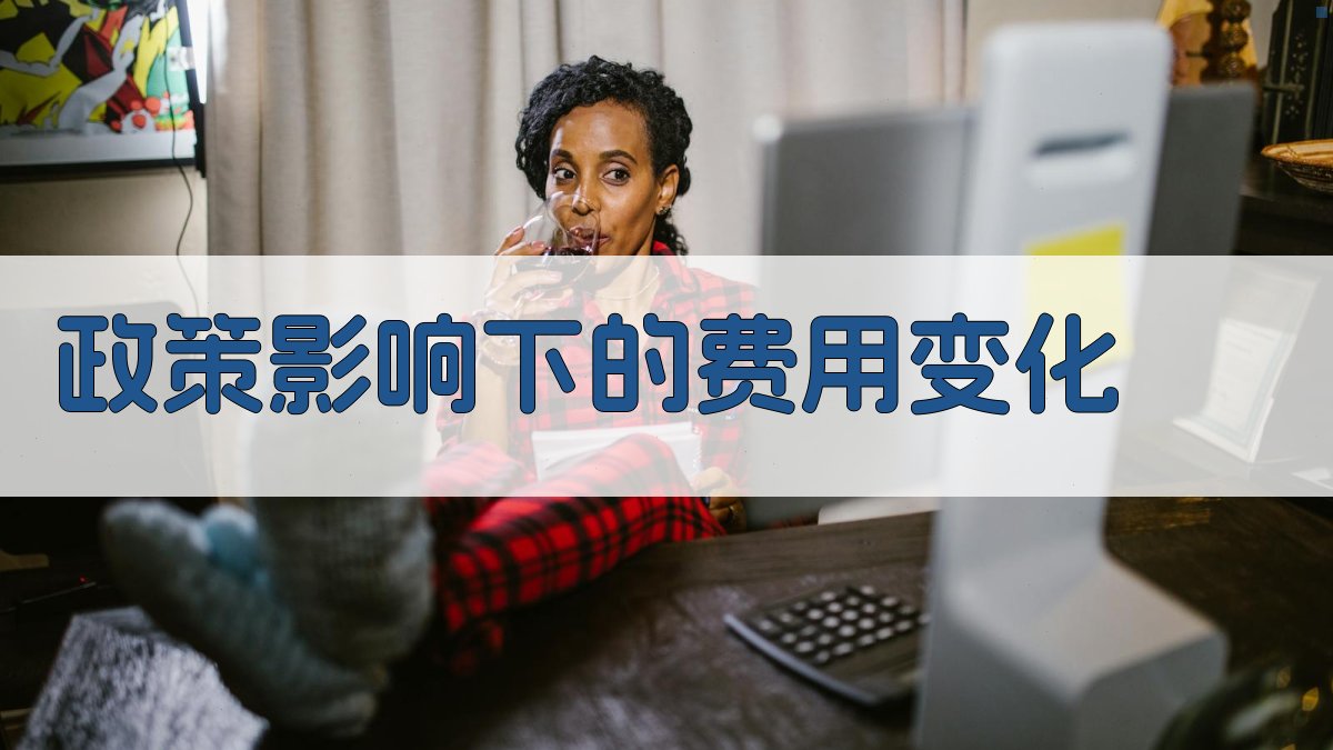 政策影响下的费用变化 图1